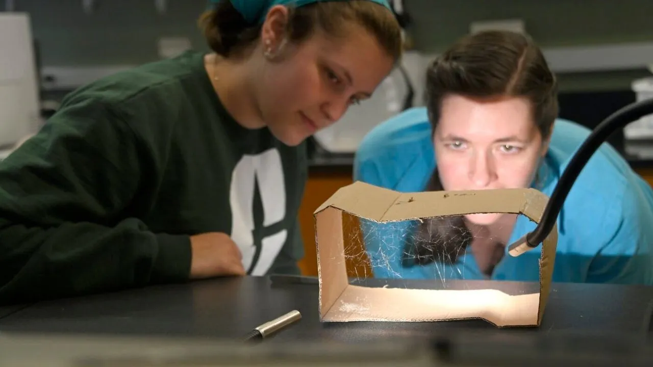 Two people examine a cardboard box with spider webs under a lamp.