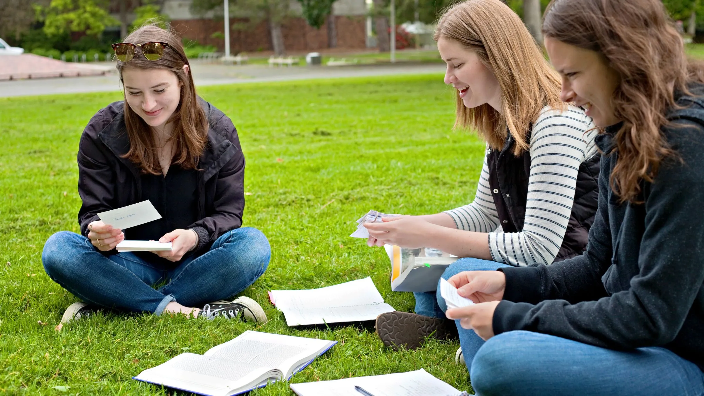 Three students sitting on the grass testing each other with flash cards