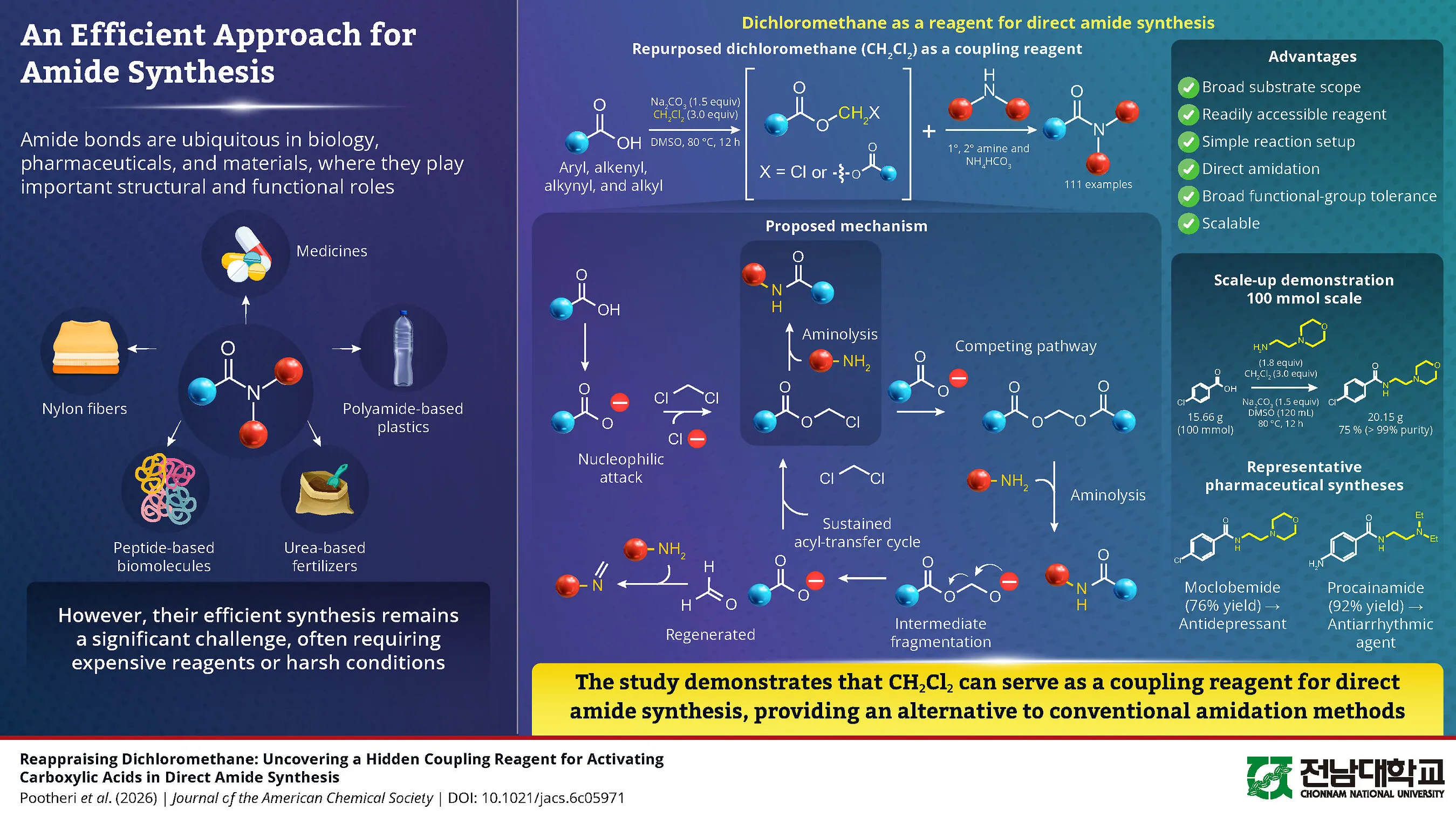 Infographic explaining direct amide synthesis using dichloromethane, with chemical diagrams and applications.